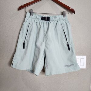 Nike ACG Light Gray/green Shorts